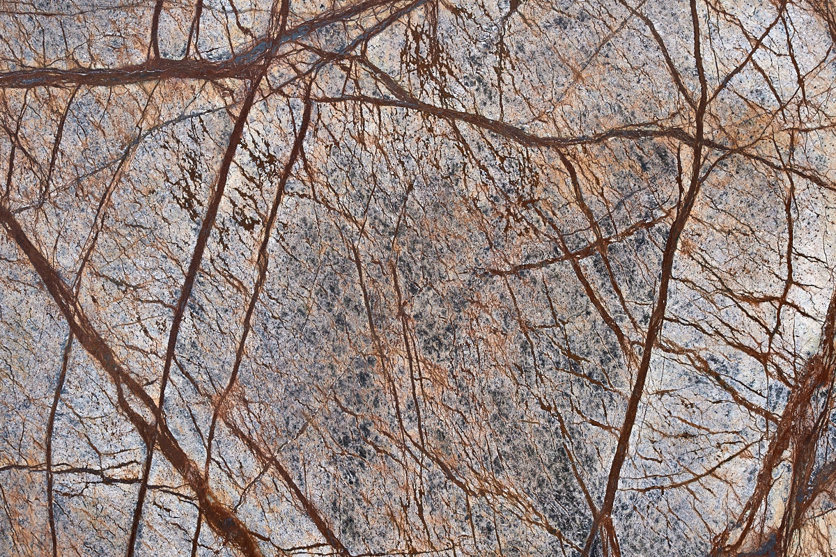 RAIN FOREST BROWN